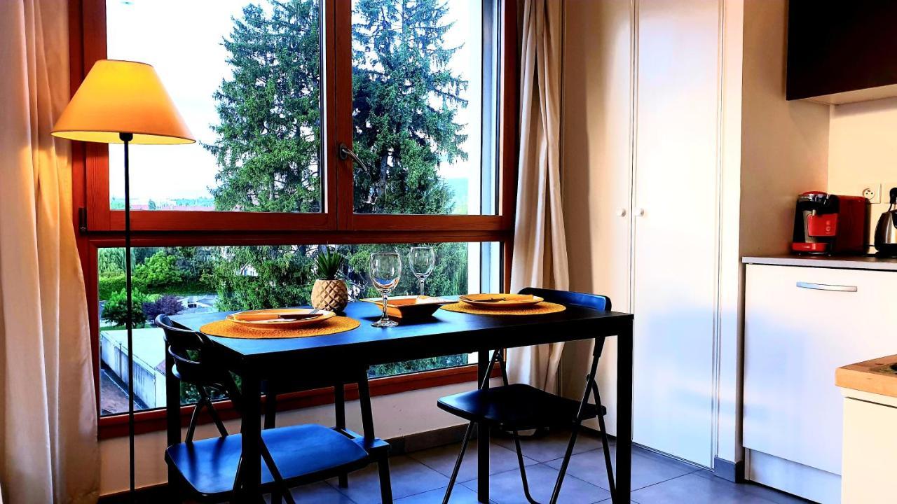 Le Bellevue A 10Min Du Centre A Pied Daire Annecy Dış mekan fotoğraf